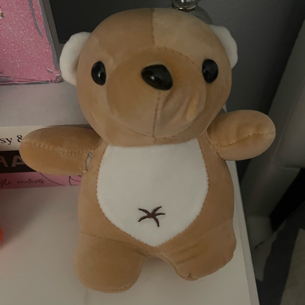 Cute Tan and White Plush Bear